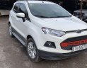 Ford EcoSport 2016 - Bán Ford EcoSport đời 2016, màu trắng chính chủ, giá tốt