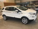 Ford EcoSport 2019 - Bán Ford EcoSport Titanium 1.5L AT sản xuất năm 2019, màu trắng