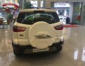 Ford EcoSport 2019 - Bán Ford EcoSport Titanium 1.5L AT sản xuất năm 2019, màu trắng