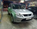 Ford Escape 2010 - Bán Ford Escape năm sản xuất 2010, màu bạc xe gia đình, giá tốt