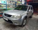 Ford Escape 2010 - Bán xe Ford Escape năm sản xuất 2010, giá tốt