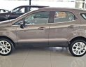 Ford EcoSport 2019 - Bán ô tô Ford EcoSport năm 2019