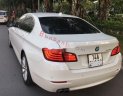 BMW 5 Series 2016 - Bán BMW 5 Series 520i năm 2016, màu trắng chính chủ