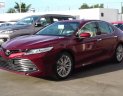 Toyota Camry 2019 - Bán Toyota Camry 2019, màu đỏ, nhập khẩu