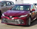 Toyota Camry 2019 - Bán Toyota Camry 2019, màu đỏ, nhập khẩu