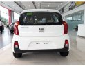 Kia Morning 2019 - Bán ô tô Kia Morning năm 2019, màu trắng rẻ nhất Hà Nội