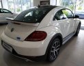 Volkswagen Beetle 2017 - Hàng hiếm cực chất của Đức - Volkswagen Beetle Dune - Chỉ còn 2 chiếc tại Việt Nam