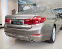 BMW 5 Series   2019 - Cần bán xe BMW 530i đời 2019, màu vàng, nhập khẩu