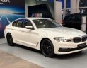 BMW 5 Series   2019 - Bán BMW 520i đời 2019, màu trắng, nhập khẩu