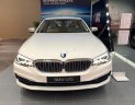 BMW 5 Series   2019 - Bán BMW 520i đời 2019, màu trắng, nhập khẩu