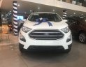 Ford EcoSport  Titanium  2019 - Bán Ford EcoSport Titanium 2019, tặng full phụ kiện kèm tiền mặt