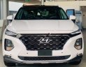 Hyundai Santa Fe 2019 - Cần bán Hyundai Santa Fe năm sản xuất 2019, hỗ trợ tốt