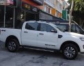 Ford Ranger 2019 - Cần bán Ford Ranger Wildtrak sản xuất năm 2019, xe nhập