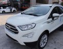 Ford EcoSport 2019 - Cần bán Ford EcoSport Titanium 1.5 AT 2019, giá hấp dẫn