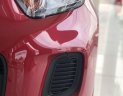 Kia Morning   2019 - Cần bán xe Kia Morning Deluxe 2019, màu đỏ, giá tốt