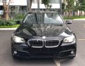 BMW 5 Series 2015 - Bán ô tô BMW 5 Series đời 2015, màu đen, nhập khẩu nguyên chiếc