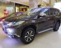 Mitsubishi Pajero Sport 2019 - Bán Mitsubishi Pajero Sport đời 2019, màu nâu, nhập khẩu nguyên chiếc