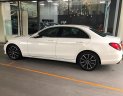 Mercedes-Benz C class GLC C300 2019 - Bán xe Mercedes-Benz GLC C300 sản xuất 2019, màu trắng, số tự động