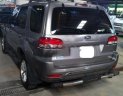 Ford Escape 2009 - Bán xe Ford Escape XLT sản xuất năm 2009, màu xám còn mới