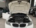 BMW 3 Series 320i 2010 - Bán ô tô BMW 3 Series 320i năm 2010, màu trắng, xe nhập số tự động, giá 500tr