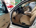 BMW 3 Series 320i 2010 - Bán ô tô BMW 3 Series 320i năm 2010, màu trắng, xe nhập số tự động, giá 500tr