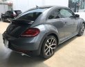 Volkswagen Beetle 2017 - Cần bán Volkswagen Beetle đời 2017, màu xám, nhập khẩu nguyên chiếc
