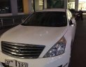 Nissan Teana   2010 - Bán Nissan Teana đời 2010, màu trắng, nhập khẩu  