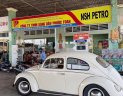 Volkswagen Beetle 1980 - Cần bán xe Volkswagen Beetle đời 1980, xe nhập