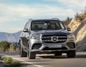 Mercedes-Benz GLS 2020 - Mua xe giá tốt - Giao dịch nhanh với chiếc Mercedes-Benz GLS 450, sản xuất 2020, nhập khẩu