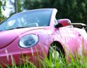 Volkswagen Beetle   2009 - Bán Volkswagen Beetle sản xuất năm 2009, xe mui trần xếp điện