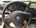 BMW 3 Series  320i  2013 - Bán BMW 3 Series 320i sản xuất năm 2013