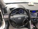 Hyundai Sonata   2010 - Bán Hyundai Sonata 2010, xe nhập