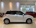 Suzuki Swift 2013 - Bán ô tô Suzuki Swift năm 2013, nhập khẩu nguyên chiếc