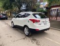 Hyundai Tucson   2009 - Bán ô tô Hyundai Tucson đời 2009, màu trắng, nhập khẩu nguyên chiếc, 515 triệu