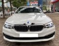 BMW 5 Series 2018 - Cần bán BMW 5 Series 520i năm 2018, màu trắng, nhập khẩu