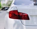 BMW 5 Series 520i   2016 - Bán ô tô BMW 5 Series 520i đời 2016, màu trắng, xe nhập chính chủ