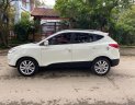 Hyundai Tucson   2009 - Bán ô tô Hyundai Tucson đời 2009, màu trắng, nhập khẩu nguyên chiếc, 515 triệu