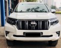 Toyota Prado 2010 - Bán ô tô Toyota Prado đời 2010, màu trắng, nhập khẩu