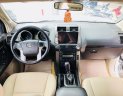 Toyota Prado 2010 - Bán ô tô Toyota Prado đời 2010, màu trắng, nhập khẩu