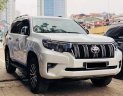 Toyota Prado 2010 - Bán ô tô Toyota Prado đời 2010, màu trắng, nhập khẩu