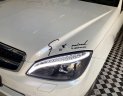 Mercedes-Benz C class C200  2010 - Cần bán xe Mercedes C200 đời 2010, xe ít đi, bảo dưỡng rất kỹ