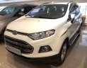 Ford EcoSport 2017 - Cần bán lại xe Ford EcoSport đời 2017, màu trắng, 475 triệu