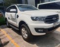 Ford Everest    2019 - Bán xe Ford Everest đời 2019, nhập khẩu