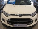 Ford EcoSport 2017 - Cần bán lại xe Ford EcoSport đời 2017, màu trắng, 475 triệu