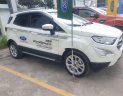 Ford EcoSport   2019 - Cần bán gấp Ford EcoSport 2019, giá chỉ 600 triệu