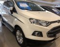 Ford EcoSport 2017 - Cần bán lại xe Ford EcoSport đời 2017, màu trắng, 475 triệu