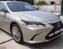 Lexus ES  250  2019 - Bán Lexus ES 250 2019, nhập khẩu chính chủ