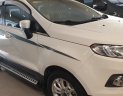 Ford EcoSport 2017 - Bán giá thấp chiếc Ford EcoSport, sản xuất 2017, giao nhanh tận nhà