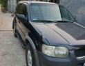 Ford Escape 2002 - Cần bán Ford Escape 2002, màu xám, nhập khẩu nguyên chiếc