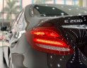 Mercedes-Benz E class 2018 - Xe Mercedes E class năm sản xuất 2018, màu đen